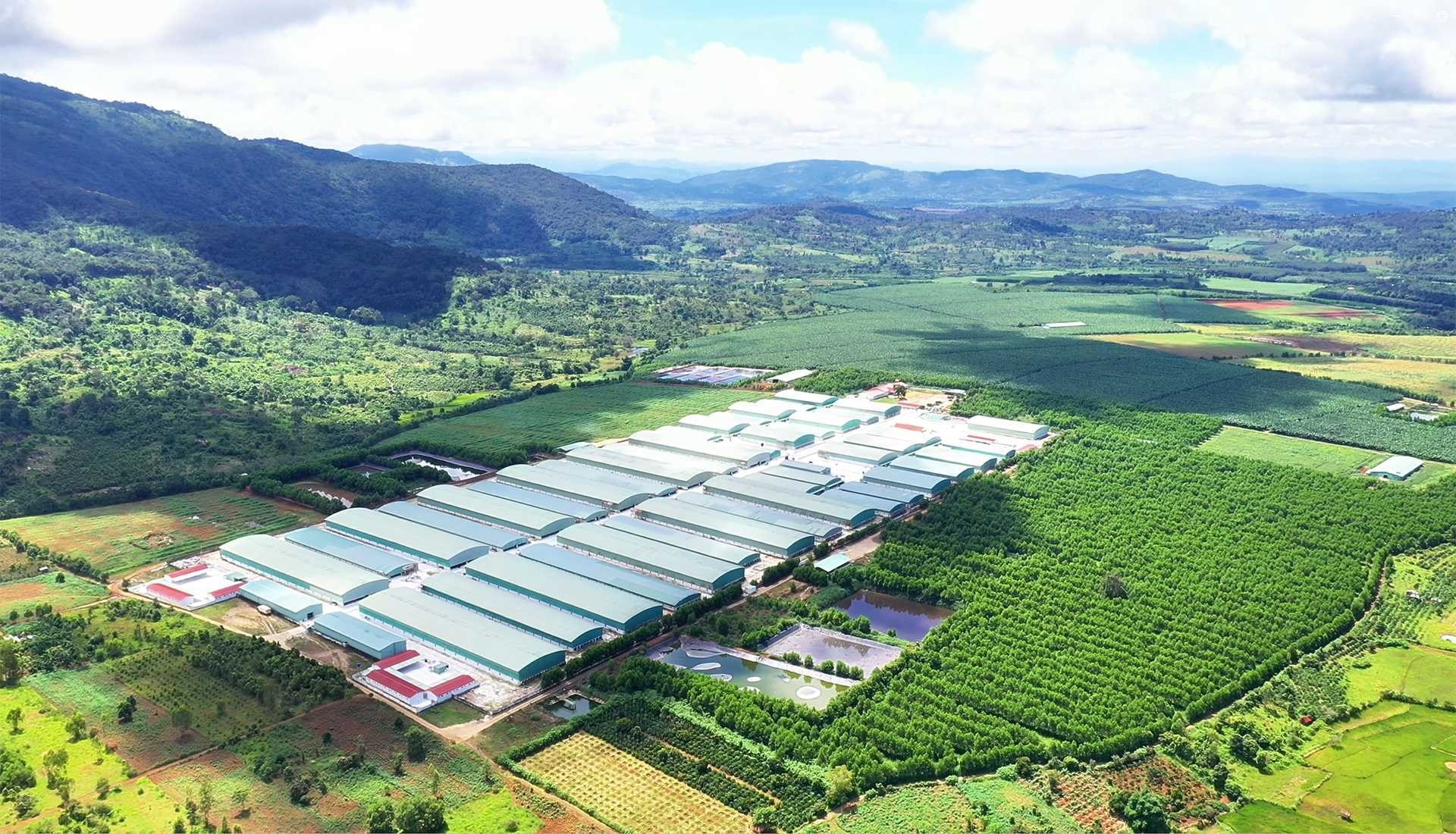 OCB BCTC Q1.2026 - Hinh 2