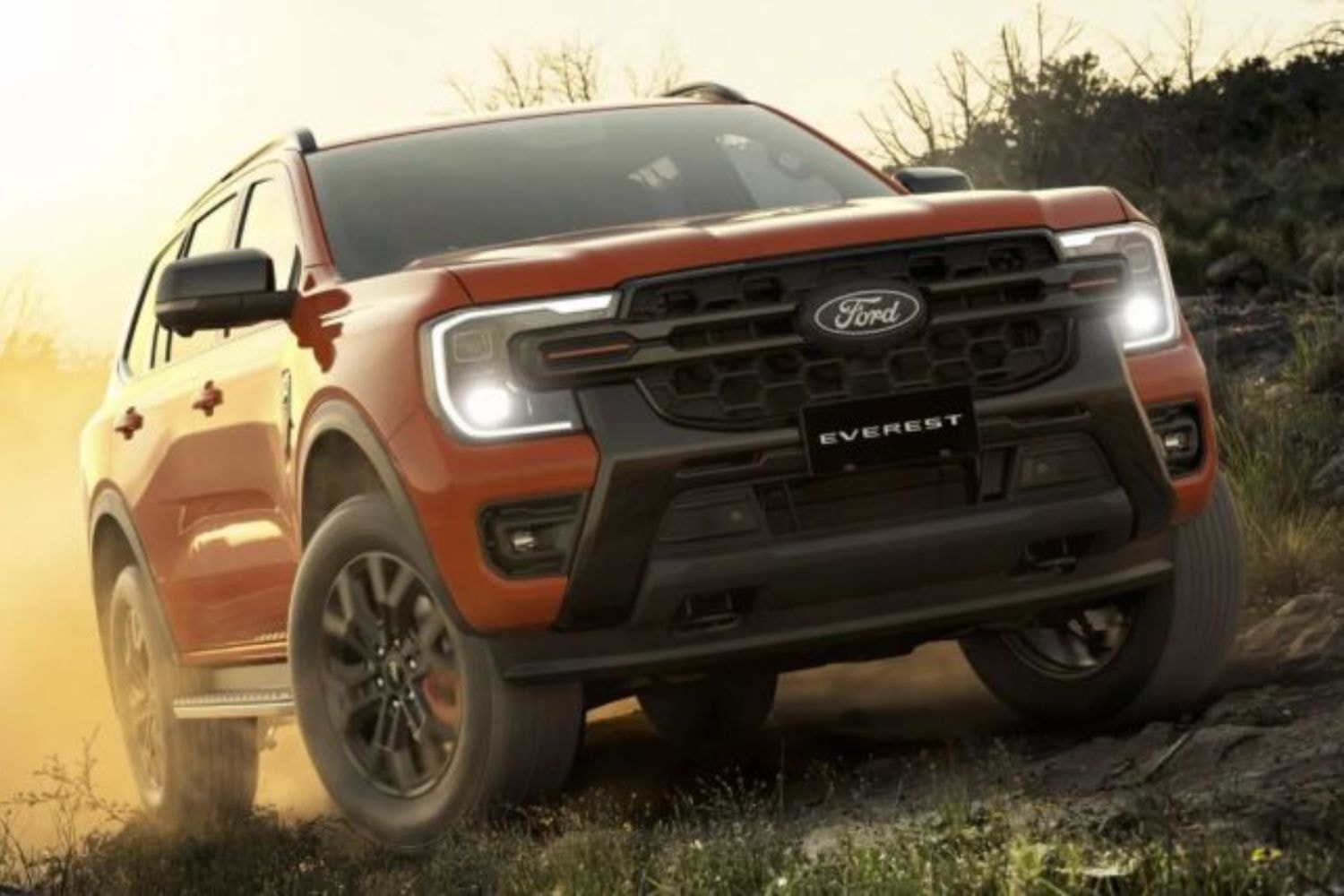 Ford Everest Wildtrak 2026 1