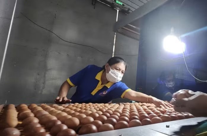 Ba Huân nợ bảo hiểm xã hội kéo dài, rớt khỏi kệ nhiều siêu thị: Tiếc nhưng phải học! - Ảnh 2.