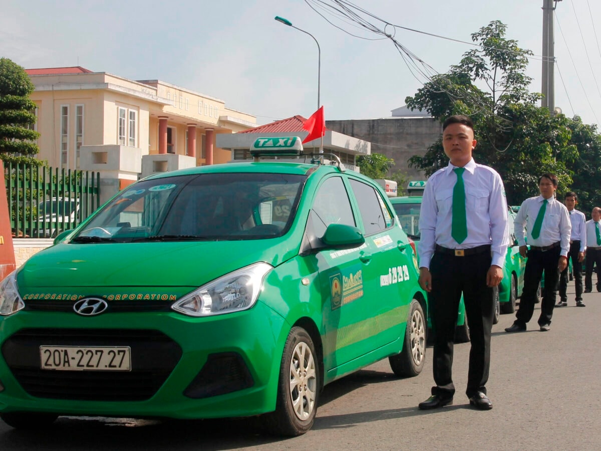 Ngân hàng thông báo thu giữ loạt ô tô VinFast của taxi Mai Linh để xử lý nợ - Ảnh 1.