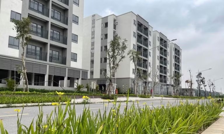 Hà Nội mở bán căn hộ NƠXH giá dưới 1 tỷ đồng/căn - Ảnh 1.
