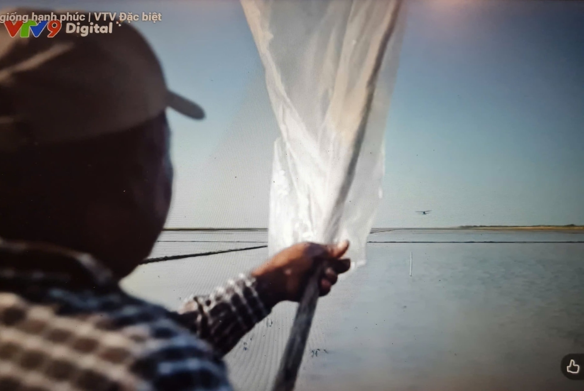 tải xuống (13)