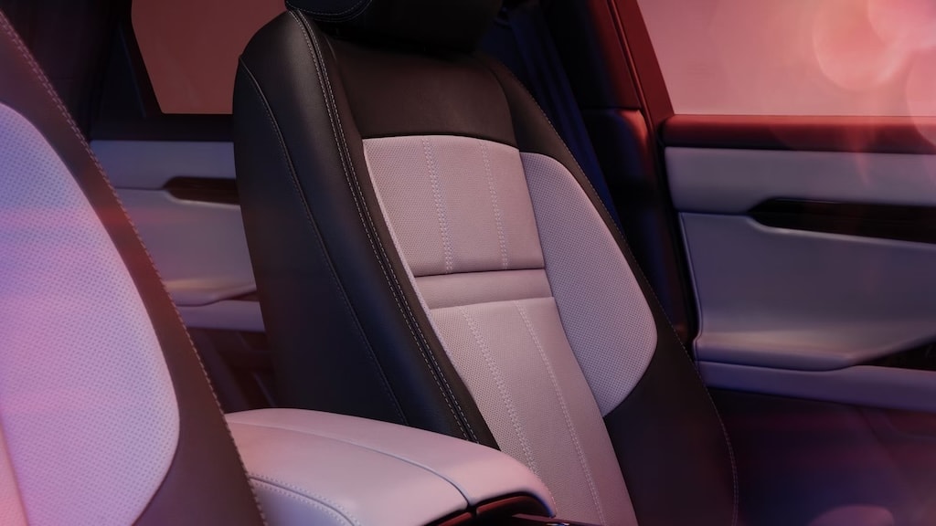 Evoque phiên bản Hoxton 6