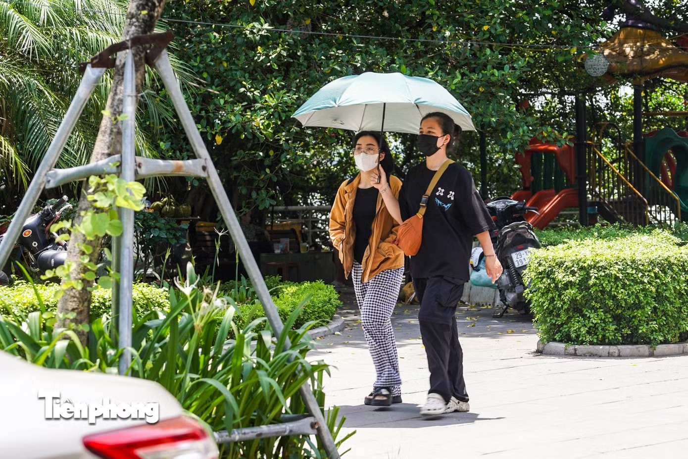 Miền Bắc hôm nay hửng nắng nhẹ. Miền Bắc hửng nắng trước khi đón không khí lạnh - Ảnh 1.