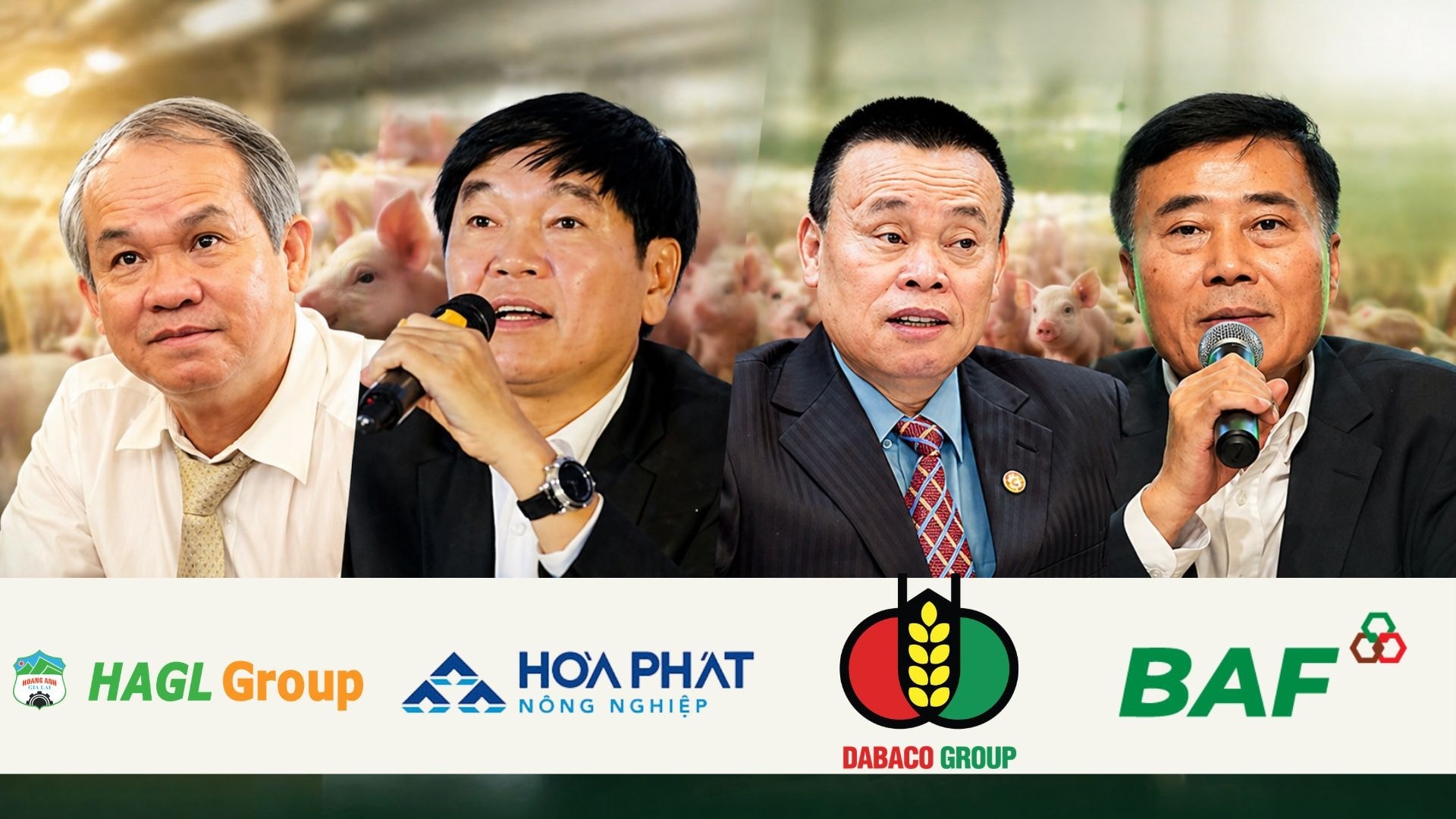 Nông nghiệp Hòa Phát, Dabaco, BAF tăng tốc mở rộng đàn heo, bầu Đức lại bất ngờ chọn 'phòng thủ'