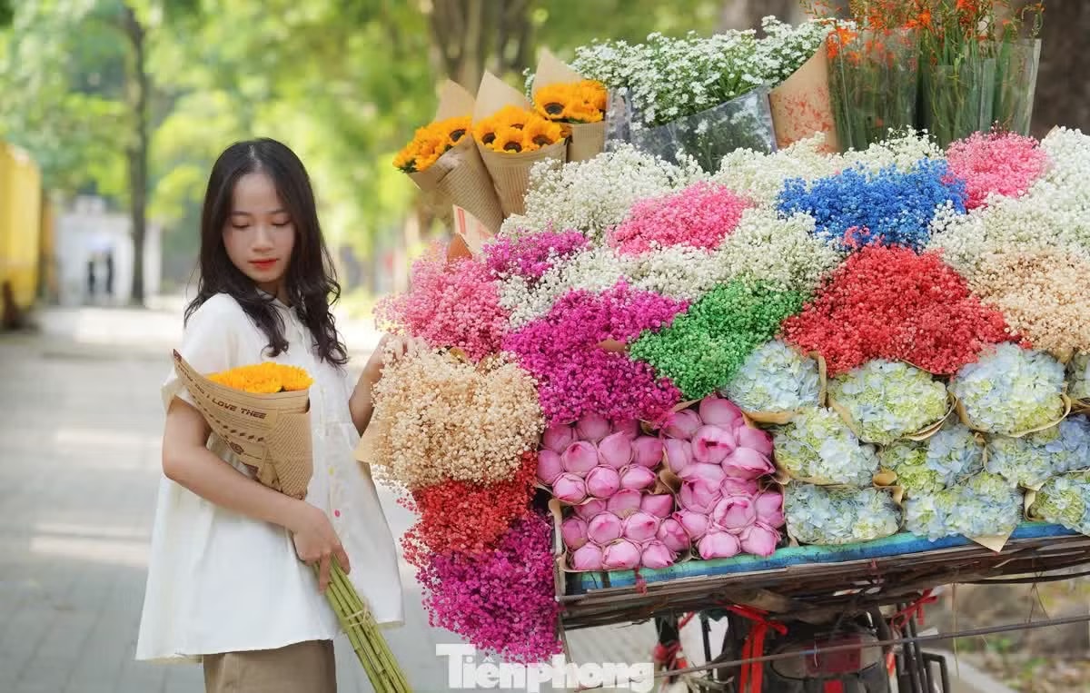 Miền Bắc ít mưa, trời hửng nắng nhẹ, rất phù hợp với các hoạt động vui chơi ngoài trời. Thời tiết kỳ nghỉ lễ 30/4 trên cả nước ra sao? - Ảnh 1.