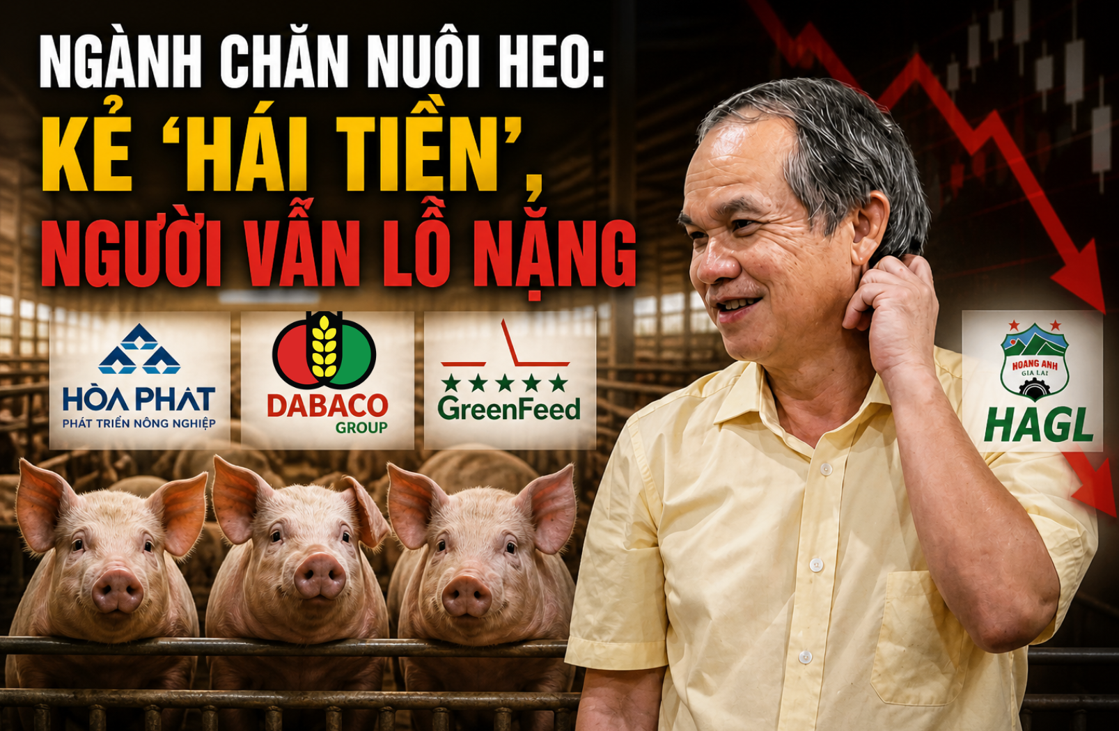 Cùng nuôi heo nhưng hai số phận: Hòa Phát, Dabaco, GreenFeed lãi đậm, bầu Đức ngậm ngùi chịu lỗ