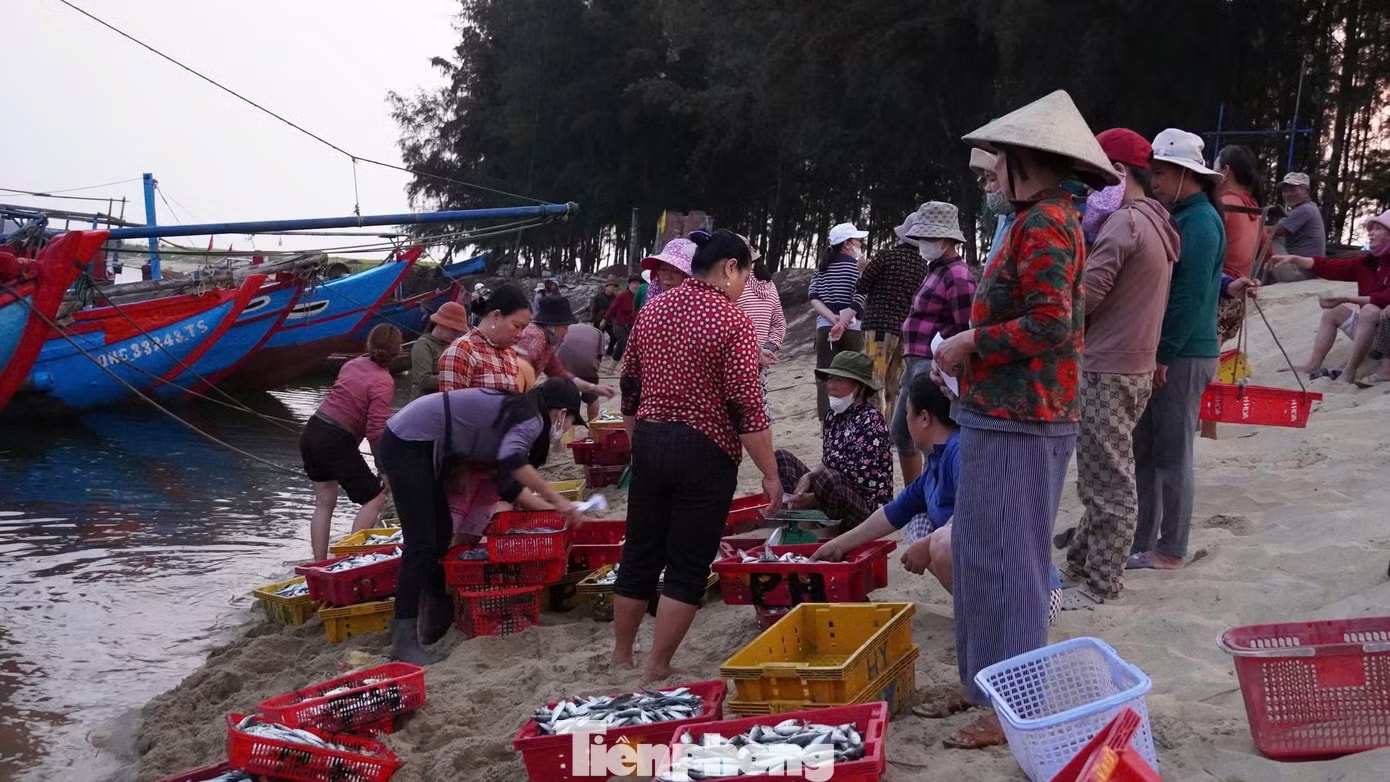 'Đột nhập' chợ mực Cửa Lở lúc rạng sáng - Ảnh 3.