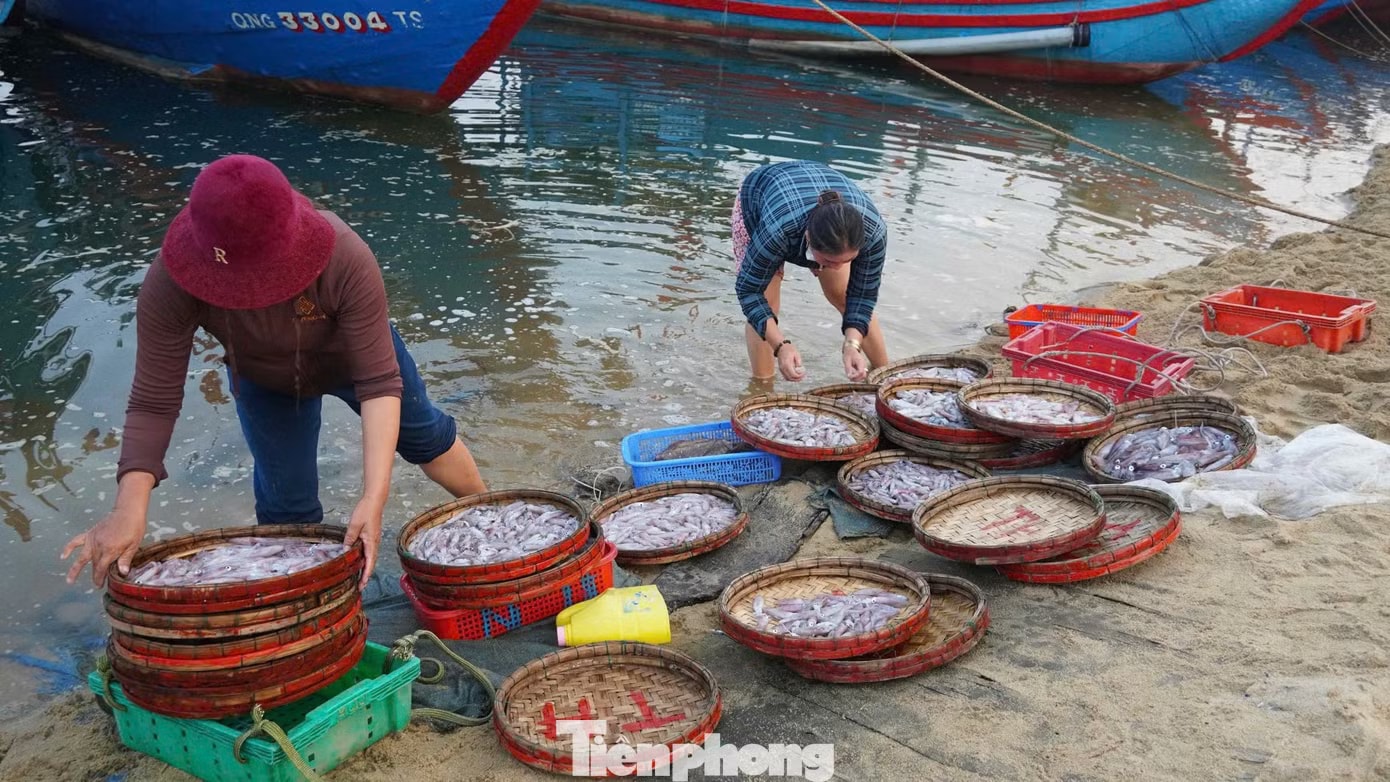 'Đột nhập' chợ mực Cửa Lở lúc rạng sáng - Ảnh 6.