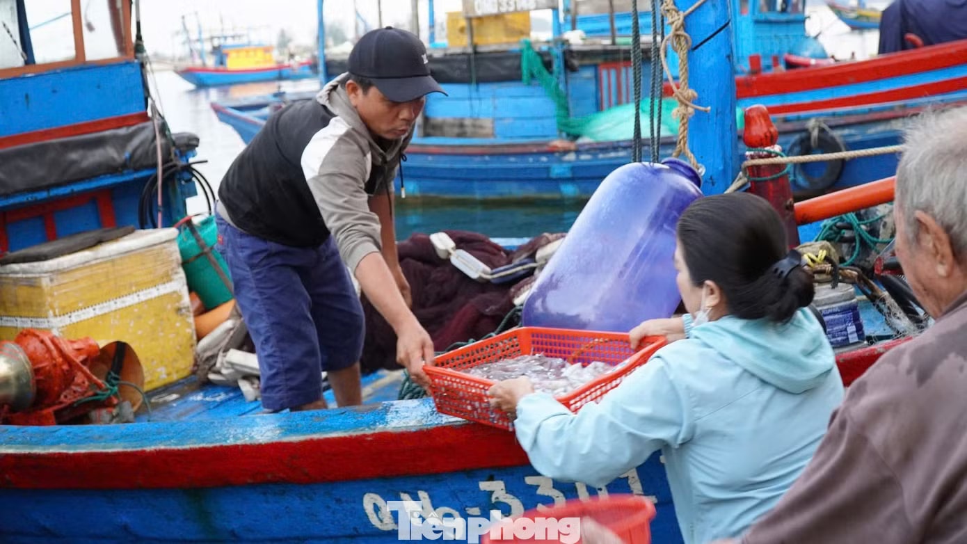 'Đột nhập' chợ mực Cửa Lở lúc rạng sáng - Ảnh 5.