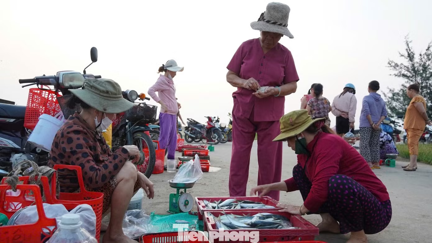 'Đột nhập' chợ mực Cửa Lở lúc rạng sáng - Ảnh 16.