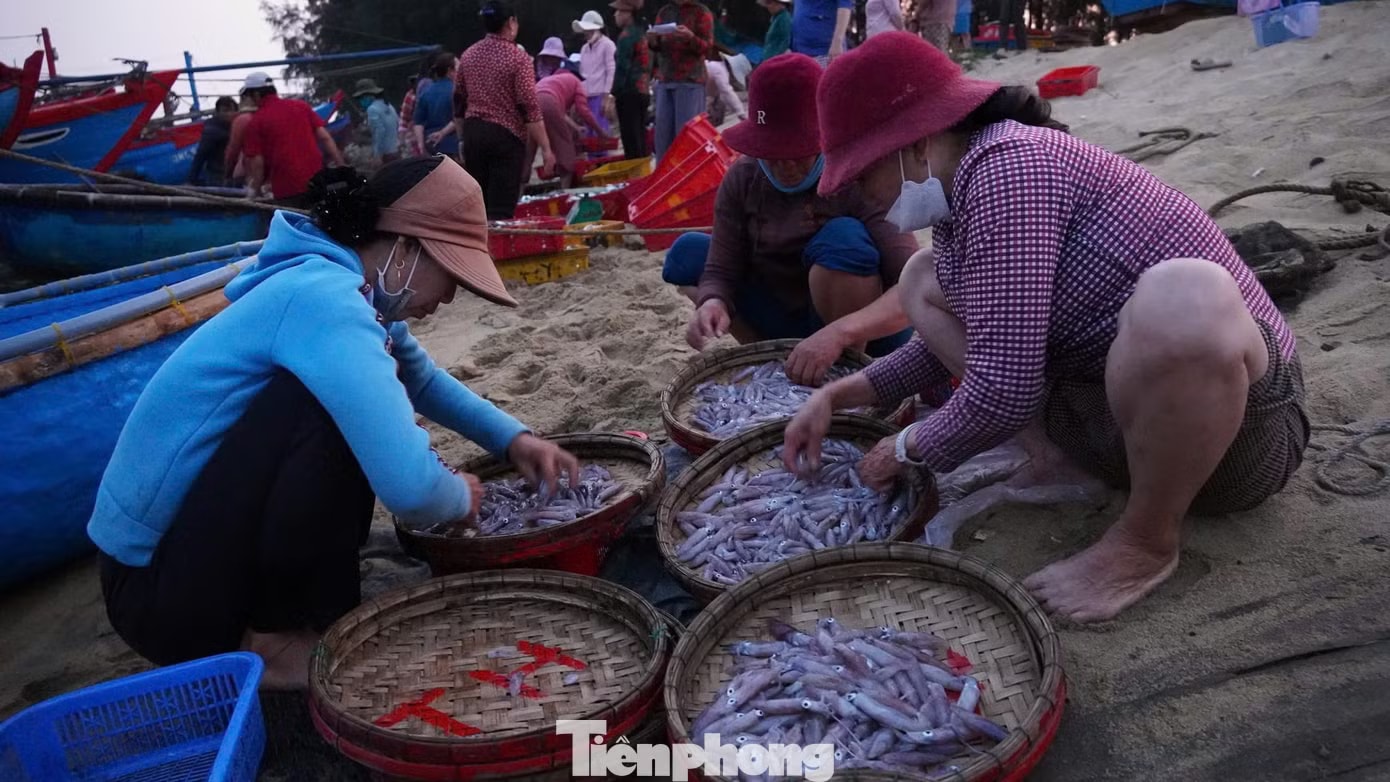 'Đột nhập' chợ mực Cửa Lở lúc rạng sáng - Ảnh 4.