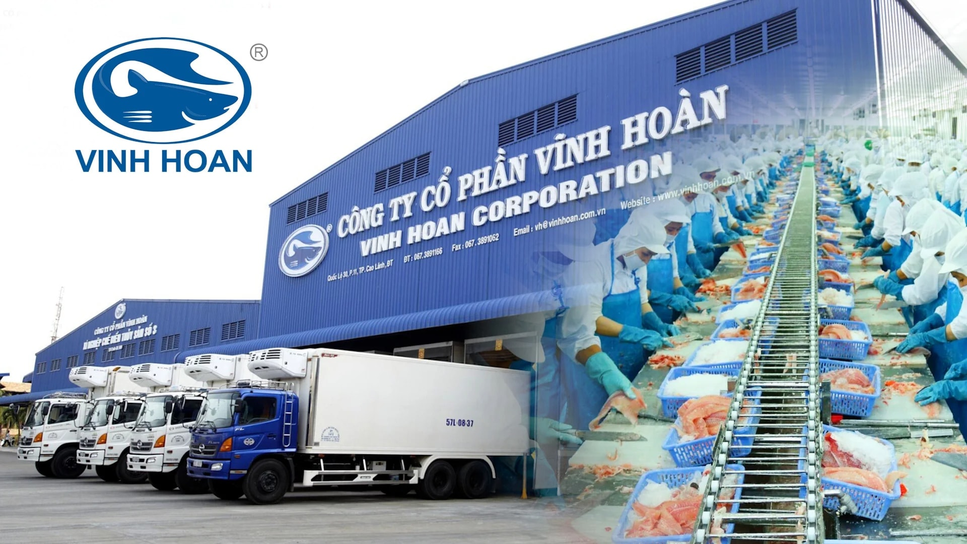 Nhà xuất khẩu cá tra lớn nhất Việt Nam báo doanh thu từ Mỹ tăng 71% trong tháng 3
