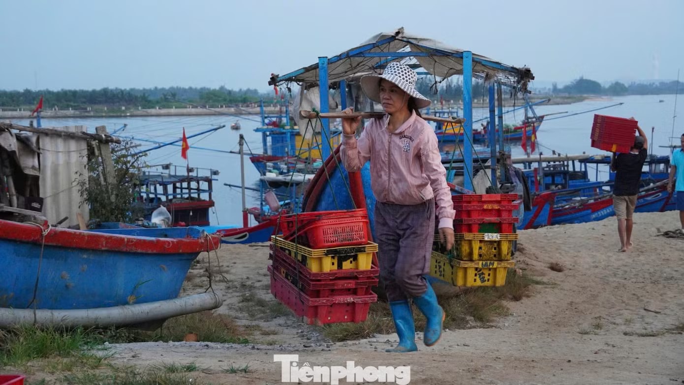 'Đột nhập' chợ mực Cửa Lở lúc rạng sáng - Ảnh 13.