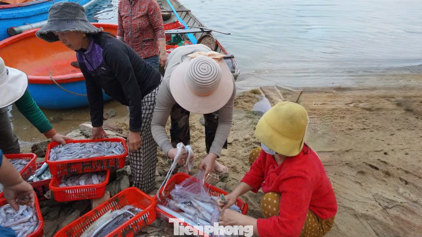 'Đột nhập' chợ mực Cửa Lở lúc rạng sáng - Ảnh 10.