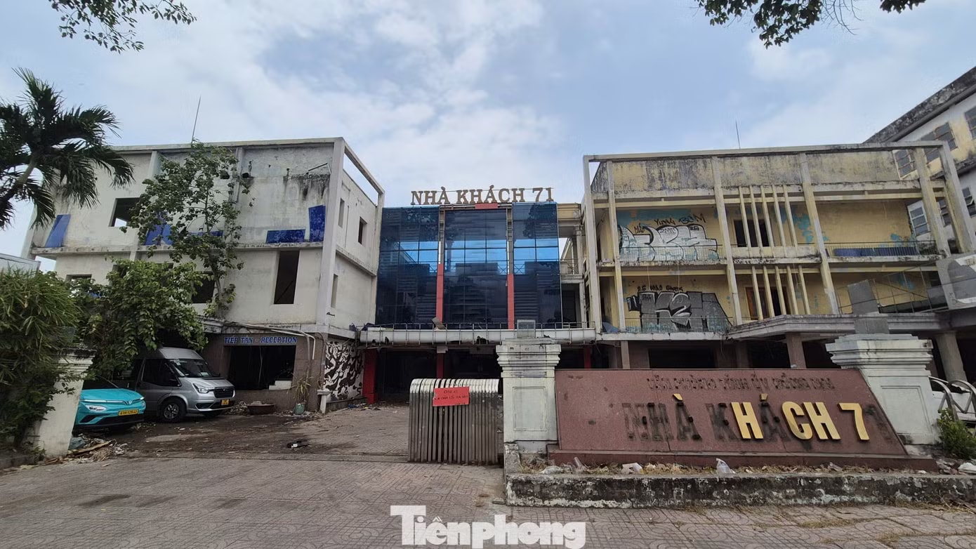 Đấu giá khu 