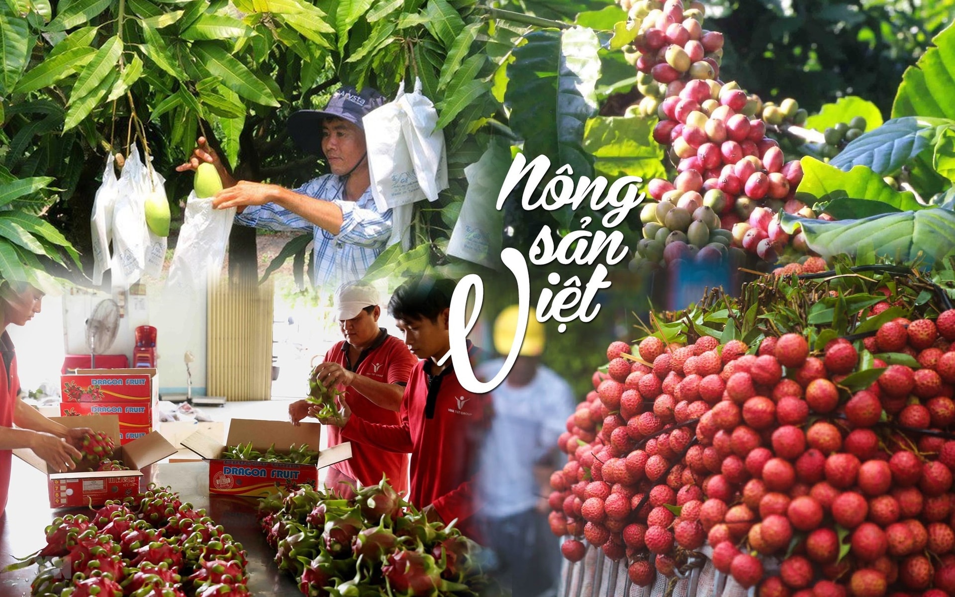 Việt Nam 'hái' ra tiền nhờ xuất khẩu mặt hàng này: 4 tháng bỏ túi 5,4 tỷ USD tiền lãi