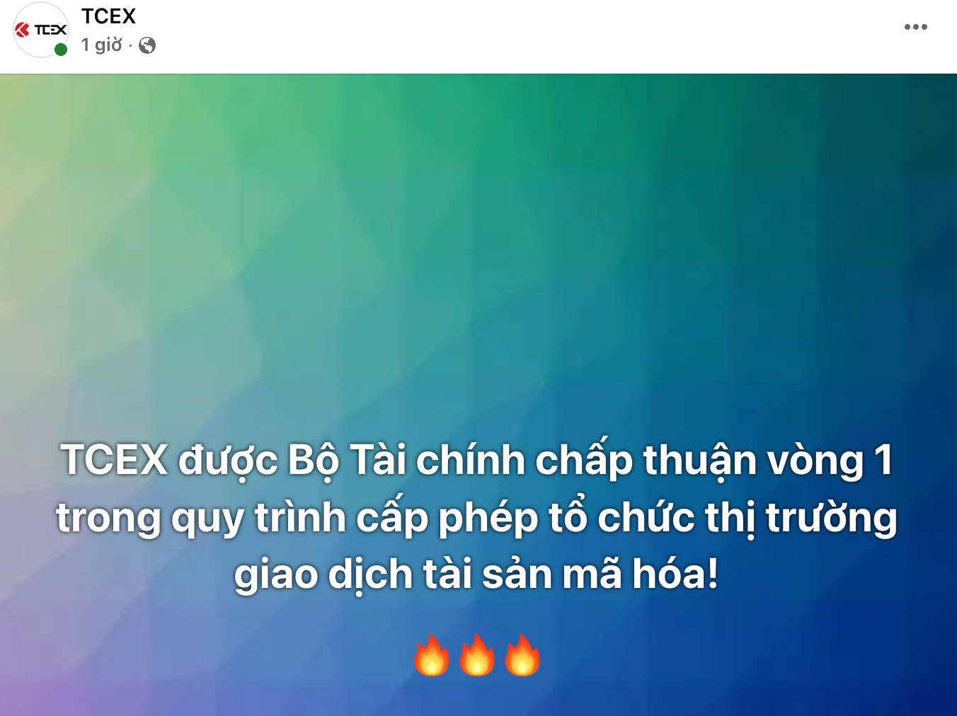 Thông báo của TCEX