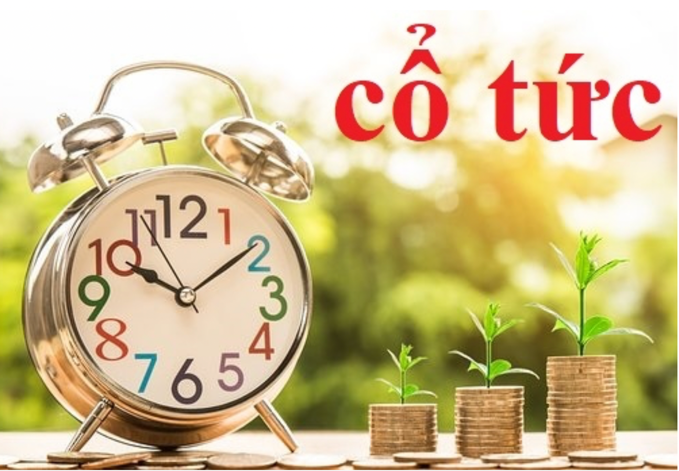Lãi kỷ lục, một doanh nghiệp khu công nghiệp chi gần nghìn tỷ trả cổ tức tỷ lệ 40%