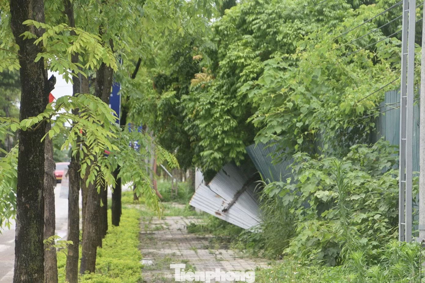 Tuy nhiên, 3 tháng sau lễ khởi công, khu vực này tiến độ thi công còn chậm, một số hàng rào bị nghiêng đổ. Cận cảnh khu đô thị giãn 200.000 dân nội đô sau 3 tháng khởi công - Ảnh 4.