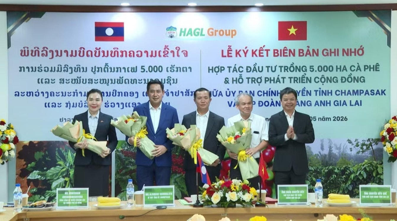 Tin tưởng bầu Đức sẽ ‘nói thật, làm thật’, lãnh đạo Lào giao thẳng 5.000ha đất cho HAGL trồng cà phê