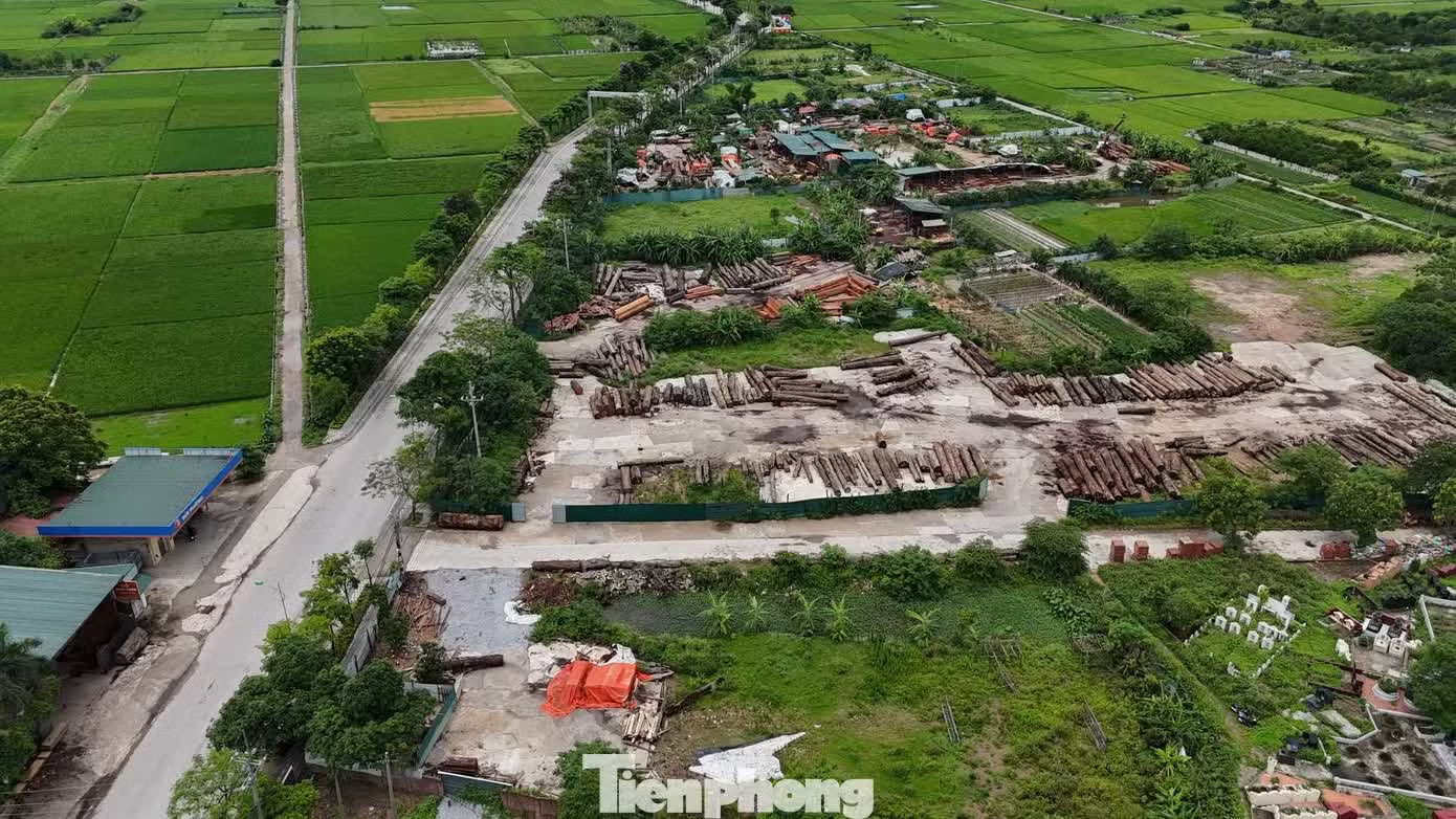 Hà Nội thông tin về tiến độ 2 dự án khu đô thị đa mục tiêu - Ảnh 1.