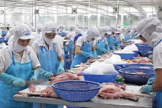 Khuyến cáo với doanh nghiệp xuất khẩu sang Mỹ - Ảnh 1.