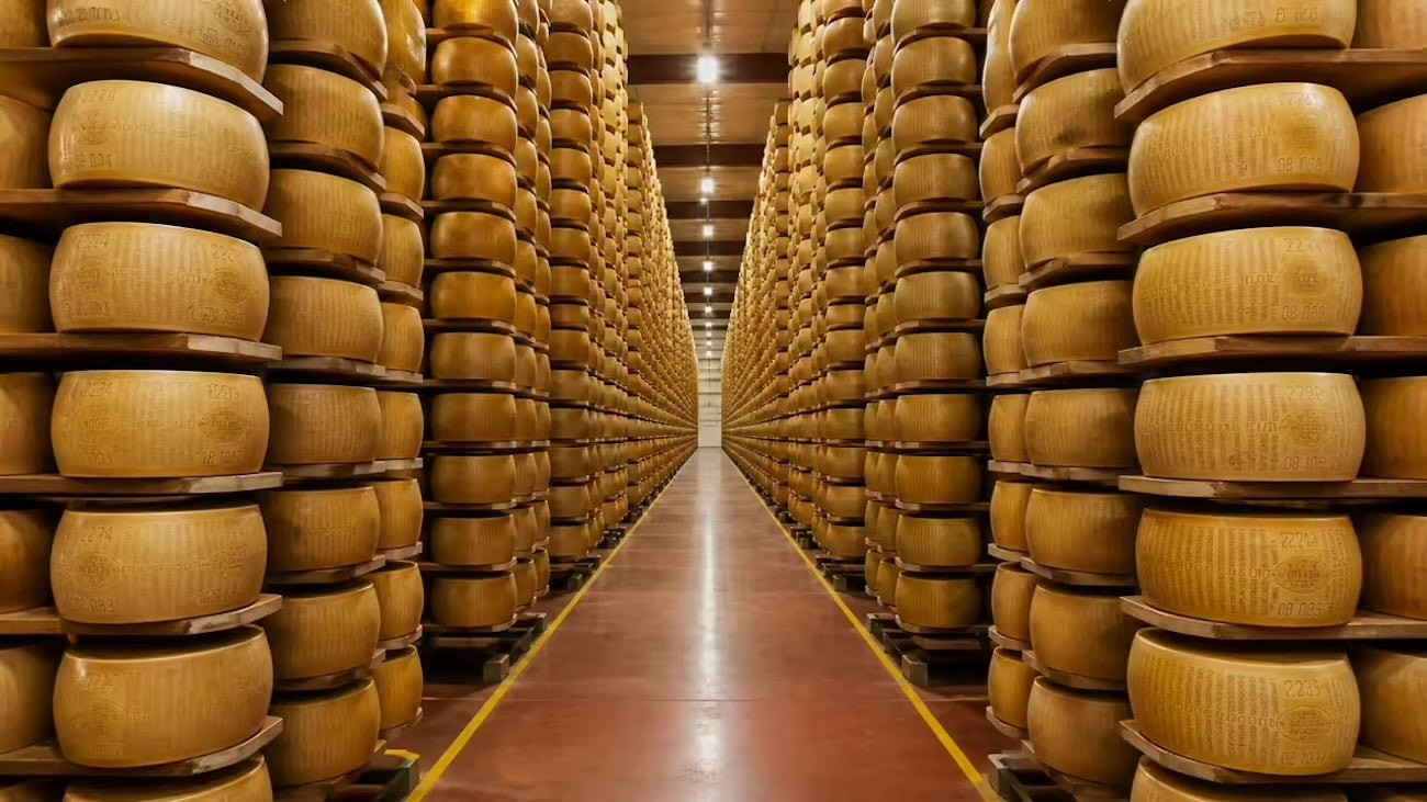 pho mai Parmigiano Reggiano 2