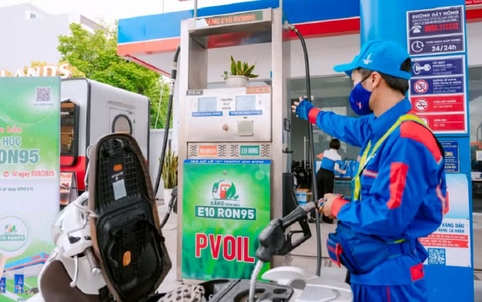 Bán xăng E10: Vì sao nhiều doanh nghiệp tư nhân còn dè dặt? - Ảnh 4.