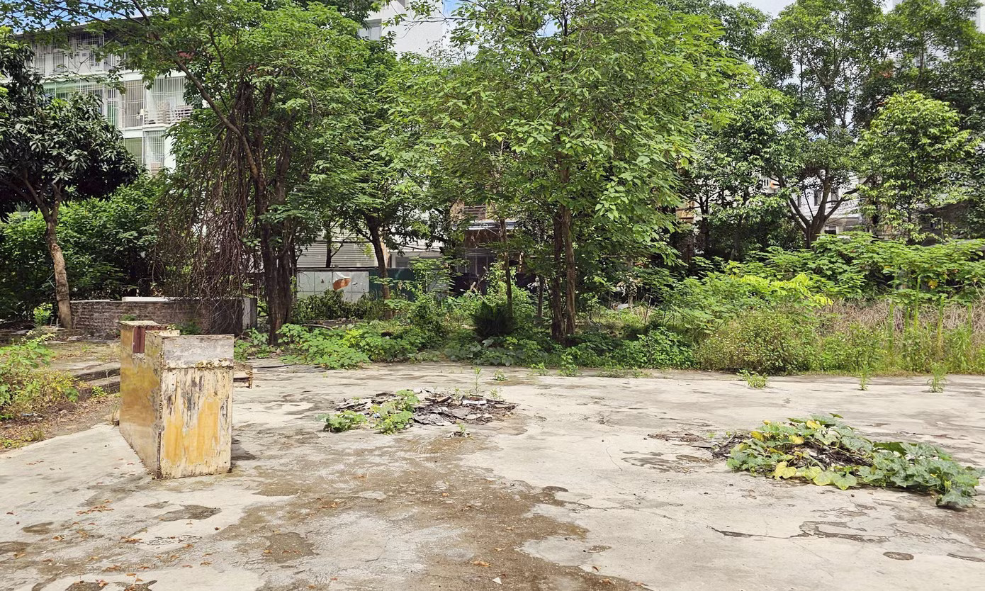 Quyết định cũng nêu rõ các quy định về chế tài xử lý đối với trường hợp chậm đưa đất vào sử dụng theo kế hoạch. Theo đó, nếu dự án không được đưa vào sử dụng trong 12 tháng liên tục từ khi bàn giao thực địa hoặc chậm tiến độ quá 24 tháng, chủ đầu tư có thể xem xét gia hạn thêm tối đa 24 tháng. Trong giai đoạn này, doanh nghiệp phải nộp bổ sung khoản tiền tương ứng với mức tiền sử dụng đất hoặc thuê đất cho thời gian chậm trễ. Trường hợp hết thời gian gia hạn mà đất vẫn chưa được đưa vào sử dụng, Nhà nước sẽ thực hiện thu hồi đất mà không bồi thường về đất, tài sản gắn liền cũng như các chi phí đầu tư liên quan. Chuyển đổi khu đất nông nghiệp gần tổ hợp HH Linh Đàm để xây chung cư, nhà liền kề - Ảnh 5.