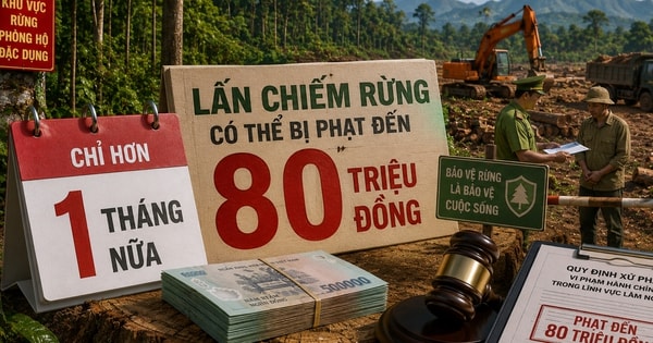 Từ 25/6, người dân sẽ bị phạt nặng nếu lấn, chiếm loại đất này
