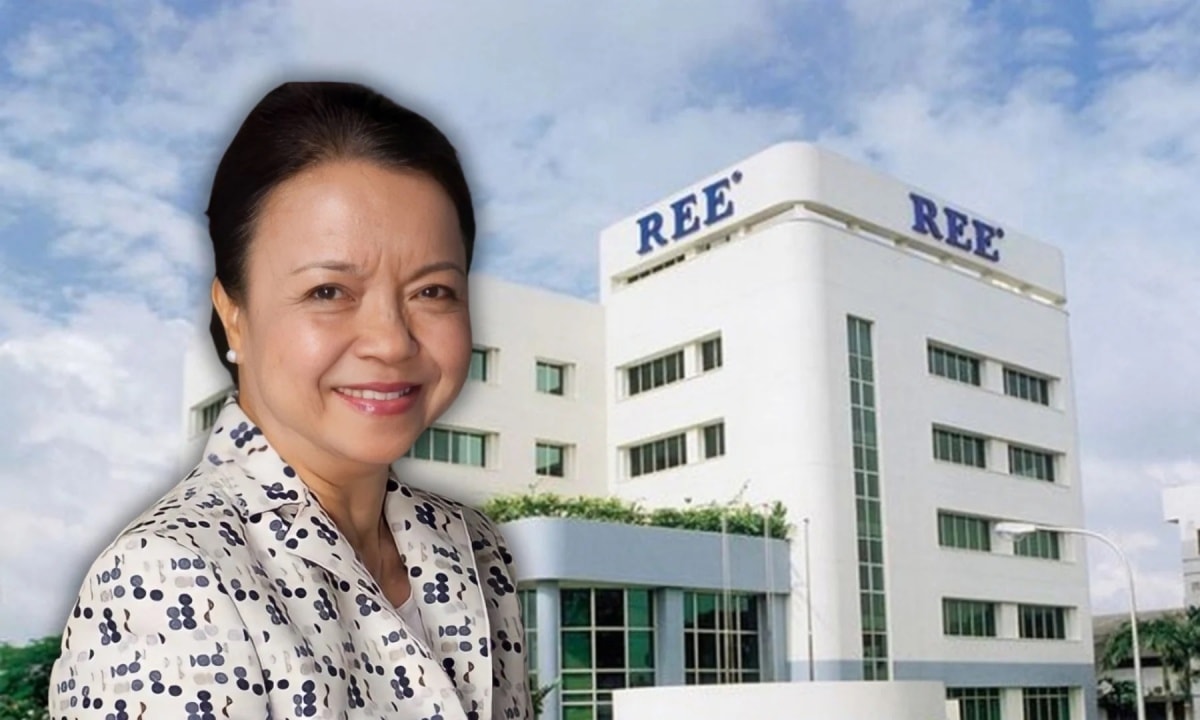 Bà Nguyễn Thị Mai Thanh bất ngờ rời ghế Chủ tịch Cơ điện lạnh (REE)