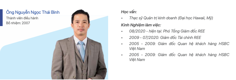 Bà Nguyễn Thị Mai Thanh bất ngờ rời ghế Chủ tịch Cơ điện lạnh (REE) - Ảnh 2.