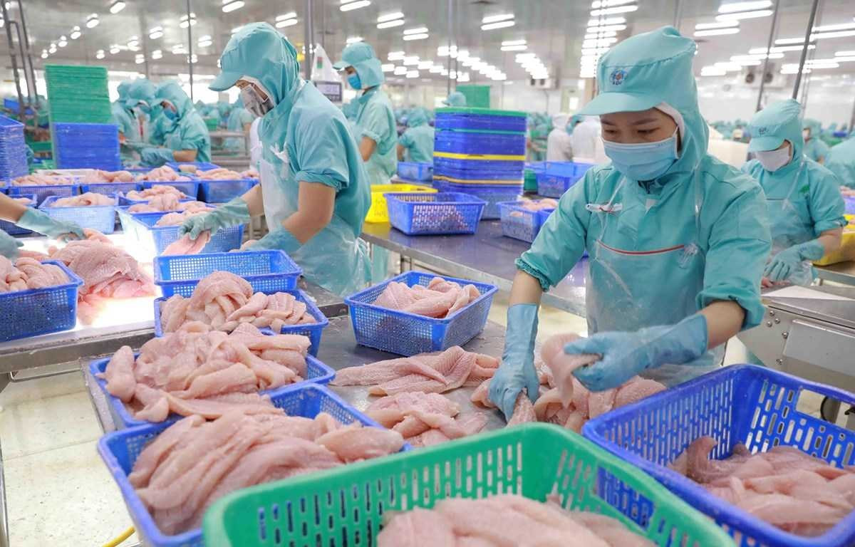 Xuất khẩu cá tra tăng mạnh trong quý I/2026