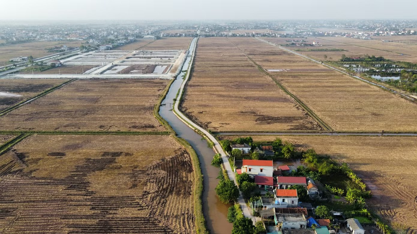 Bỏ cọc hàng loạt sau 'sốt' đấu giá đất vùng quê - Ảnh 1.