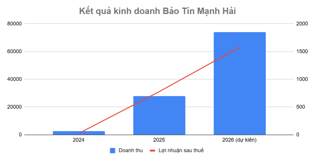 SSI và 'ván bài' IPO Bảo Tín Mạnh Hải: Khi công ty chứng khoán bước vào những 'deal' lớn nhất thị trường - Ảnh 2.