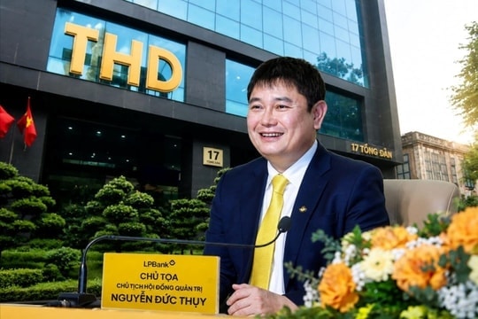 Cổ phiếu Thaiholdings tăng dựng 7 phiên trần, điều gì đang diễn ra?