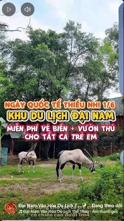 dai-nam-tung-uu-dai-khung2.jpg