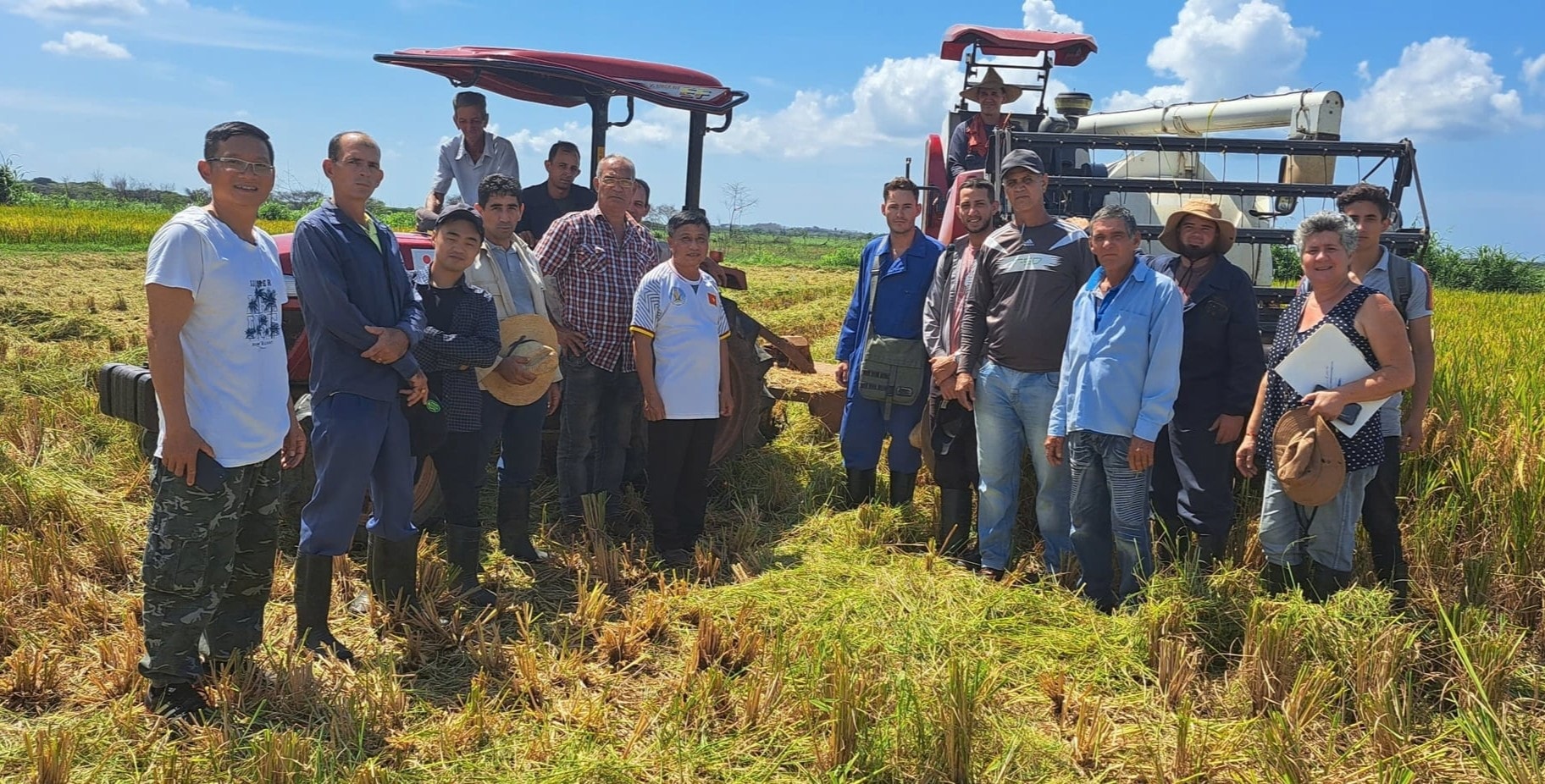 Chuyên gia Việt Nam nói thẳng về 'hạt vàng' nở rộ trên cánh đồng ở Cuba, năng suất tăng vọt gấp 4 lần, người dân thu nhập có cao hơn