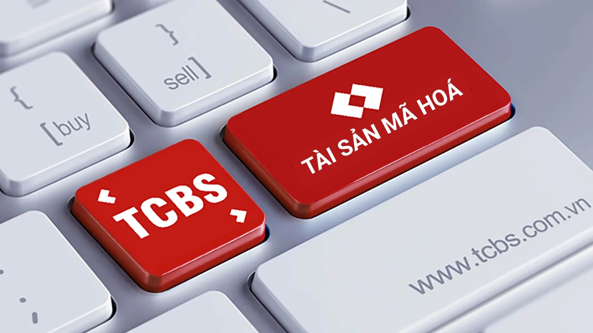 TCBS bất ngờ thoái sạch vốn khỏi TokenBay sau khi rót 165 tỷ đồng