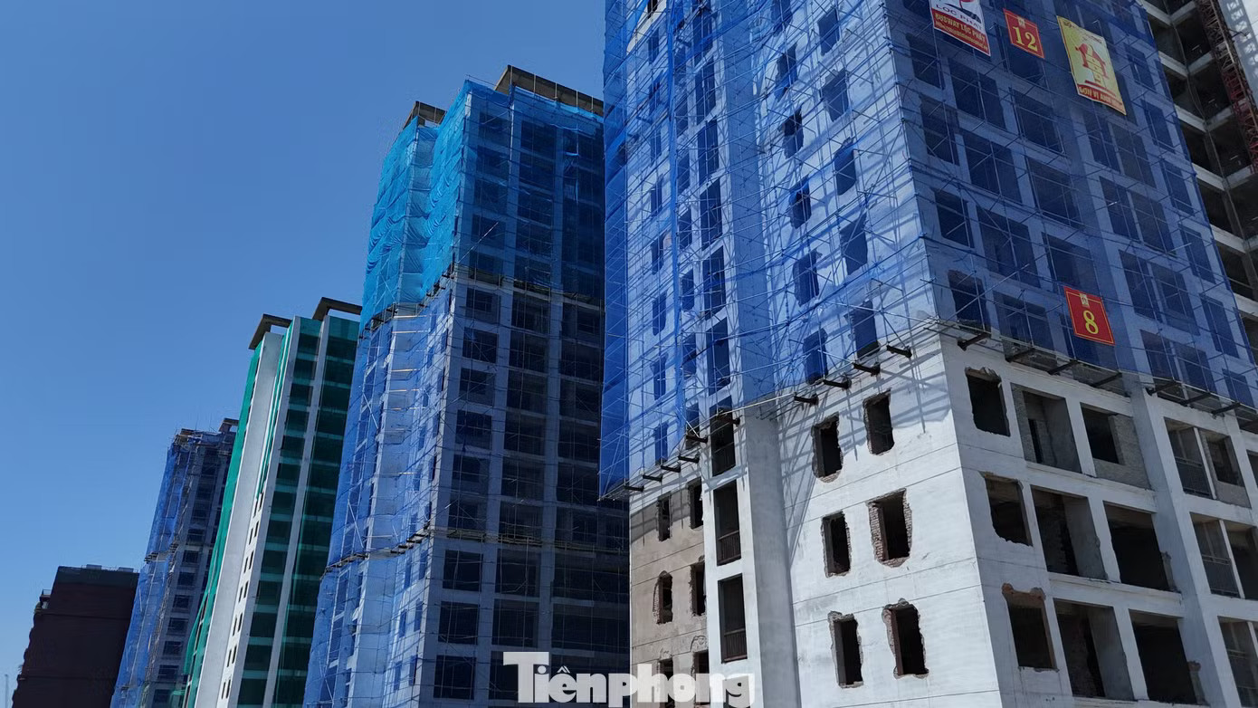 Để tránh tình trạng xây dựng rồi bỏ hoang, gây lãng phí, UBND thành phố Hà Nội đã có chủ trương thay đổi công năng các tòa nhà thuộc Dự án ký túc xá Pháp Vân - Tứ Hiệp (phường Yên Sở) thành nhà ở xã hội cho thuê. Cận cảnh khu nhà ở sinh viên bỏ hoang chuyển đổi thành NOXH - Ảnh 1.