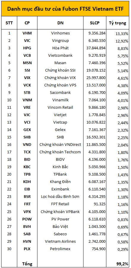 Quỹ ETF 10.000 tỷ thắng lớn nhờ cổ phiếu VIC, VHM nhưng NAV đã 'hao' 50% từ đỉnh - Ảnh 2.
