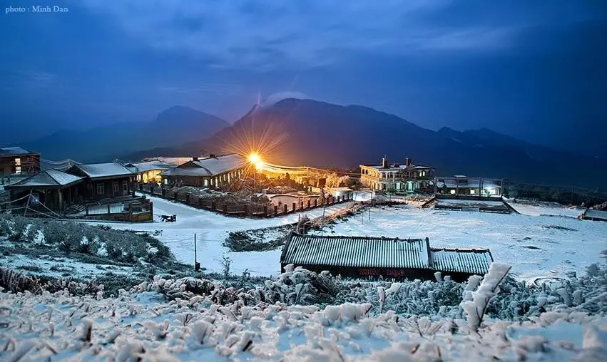 ms-minh-dan_1780049561.webp