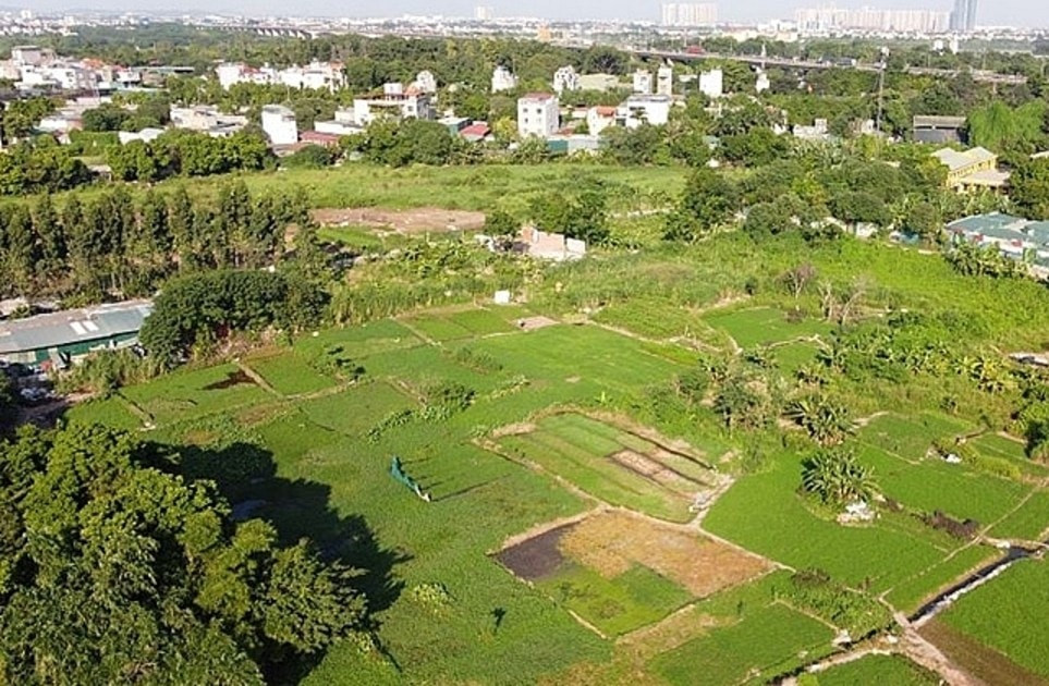 boi-thuong.jpg