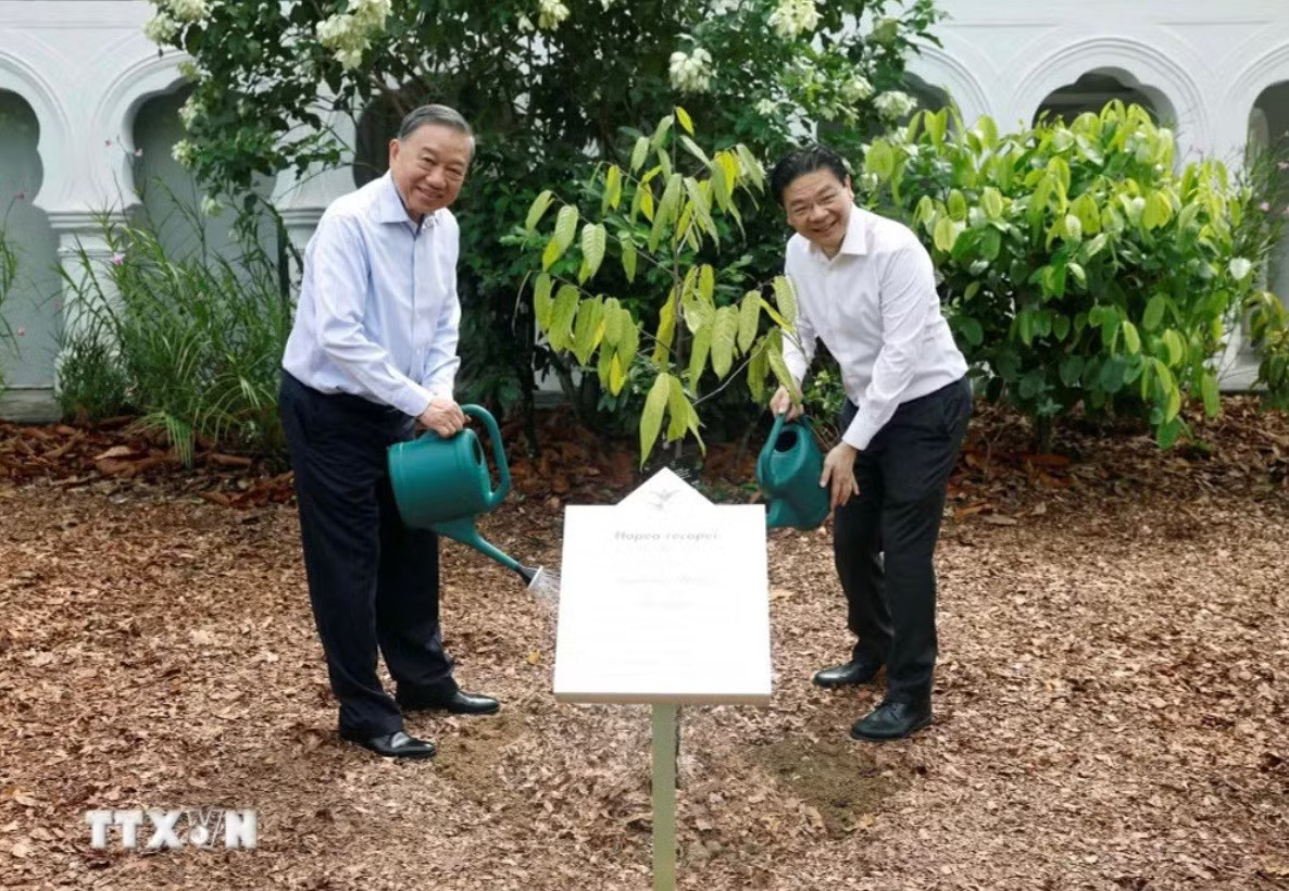 Tổng Bí thư, Chủ tịch nước Tô Lâm và Thủ tướng Singapore Lawrence Wong cùng trồng cây trong Vườn Bách thảo Singapore. Ảnh: TTXVN. Nhiều biệt lệ trong chuyến công du ASEAN của Tổng Bí thư, Chủ tịch nước Tô Lâm - Ảnh 2.