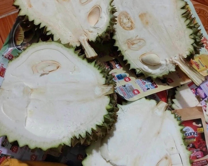 sau-rieng-giai-cuu-1.jpg