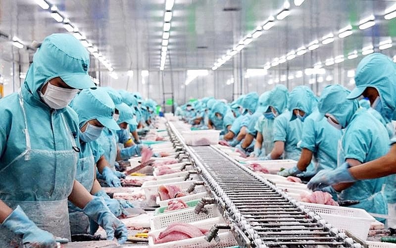Quốc gia mua cá rô phi nhiều nhất của Việt Nam đang xem xét cấm nhập khẩu, đại diện 320 doanh nghiệp lập tức đưa ra cảnh báo