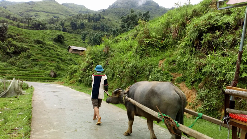 nơi sinh sống của người đồng bào Tây Bắc như người Mông, Dao Đỏ và người Giáy (Nguồn- traveloka.com)