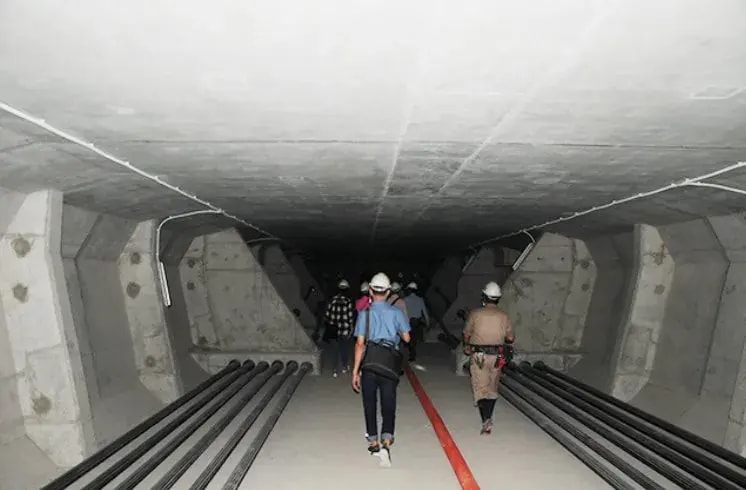 Việt Nam sở hữu 