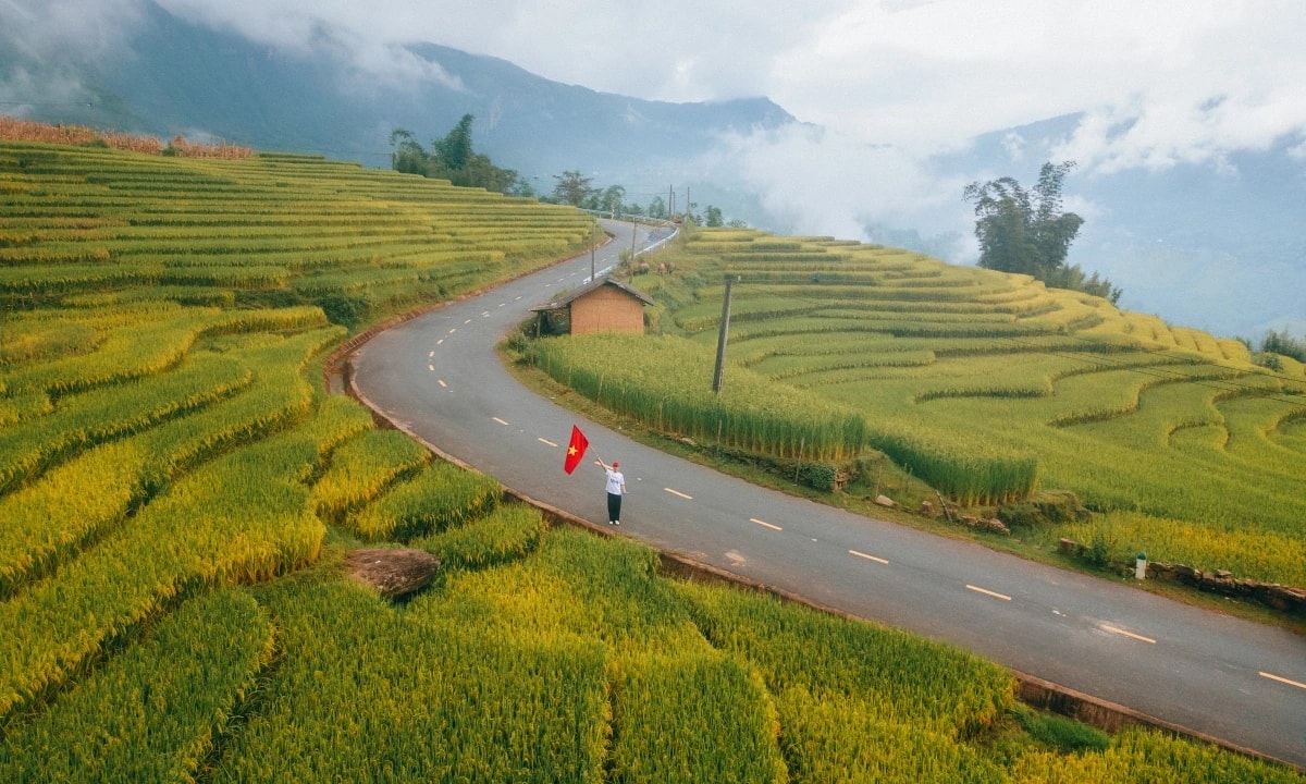 nghia(1).jpg
